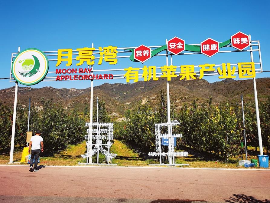 大同4.jpg 大同4.jpg